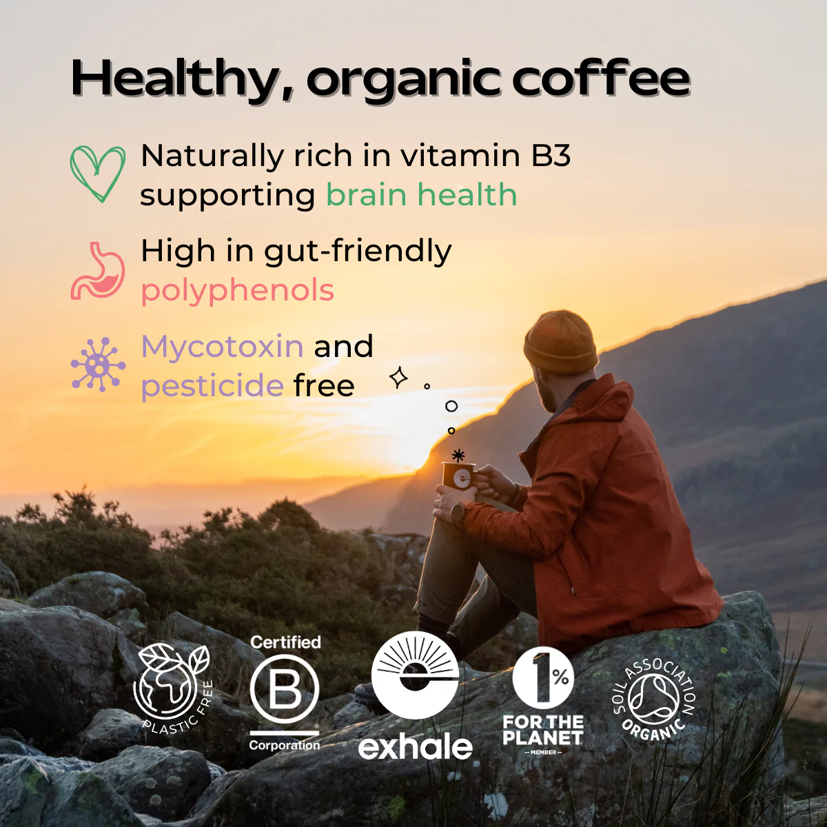 Organic Decaf (B2B) - Image 3