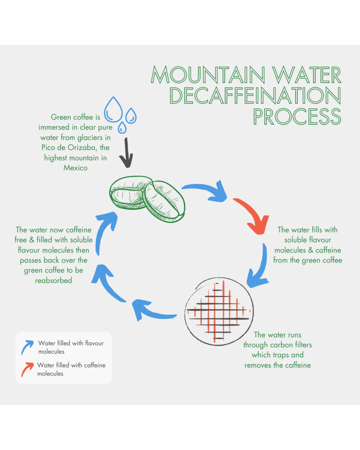 Organic Decaf (B2B) - Image 6